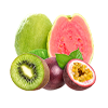 Kiwi Passion Fruit Guava