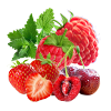 Strawberry raspberry & cherry berry & Grape mint